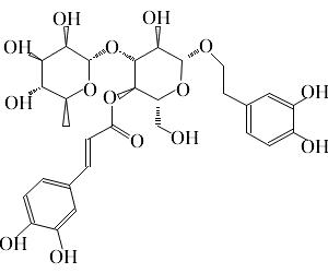 毛蕊花糖苷-CAS:61276-17-3