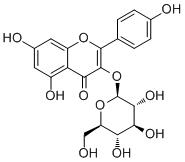 紫云英苷-CAS:480-10-4