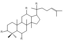 三七总皂苷-CAS: