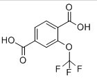 2-(三氟甲氧基)对苯二甲酸-CAS:175278-21-4