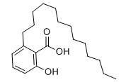 银杏酸(C13:0)-CAS:20261-38-5