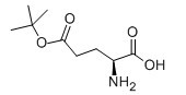 L-谷氨酸-5-叔丁基酯-CAS:2419-56-9