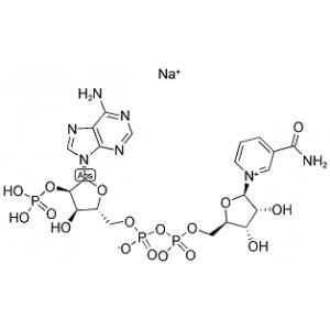 氧化型辅酶Ⅱ单钠盐-CAS:1184-16-3