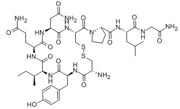 缩宫素-CAS:50-56-6