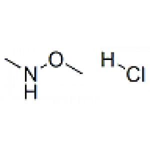 N,O-二甲基羟胺盐酸盐-CAS:6638-79-5