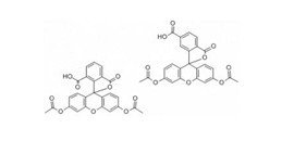 5(6)-羧基荧光素二乙酸酯-CAS:124387-19-5