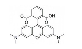 6-羧基四甲基罗丹明-CAS:91809-67-5