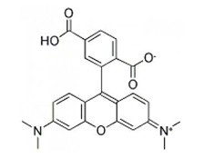 5-羧基四甲基罗丹明-CAS:91809-66-4