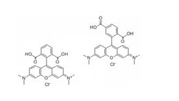 5(6)-羧基四甲基罗丹明-CAS:150347-56-1