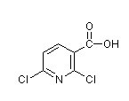 2,6-二氯烟酸-CAS:38496-18-3