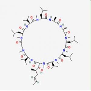 环孢霉素D-CAS:63775-96-2