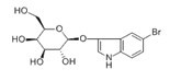 5-溴-3-吲哚基-β-D-半乳糖皮蒽-CAS:97753-82-7