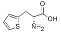 3-(2-噻吩基)-D-丙氨酸-CAS:62561-76-6