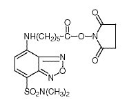 6-[[7-(N,N-二甲氨基磺酰)-2,1,3-苯并恶二唑-4-基]氨基]己酸琥珀酰亚胺酯-CAS: