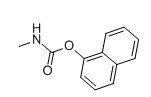 甲萘威-CAS:63-25-2