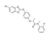 恶唑酰草胺-CAS:256412-89-2