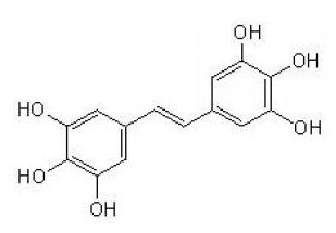 4,3',5'-三羟基白藜芦醇-CAS:637776-83-1