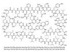 β-淀粉样多肽1-42-CAS:107761-42-2