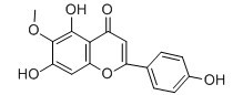 高车前素-CAS:1447-88-7