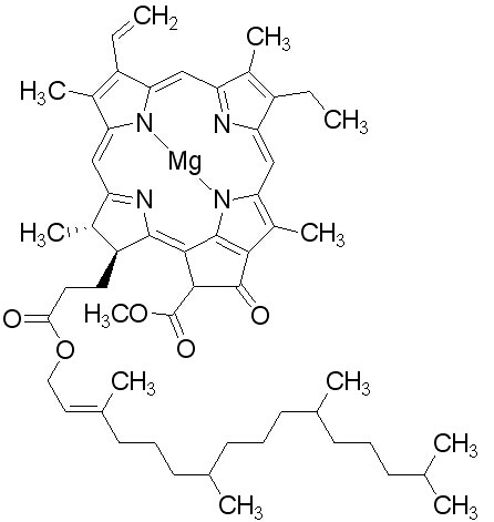 叶绿素A-CAS:479-61-8