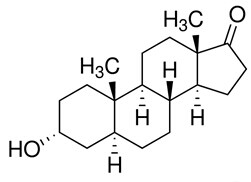 雄酮-CAS:53-41-8