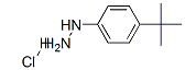 4-叔丁基苯肼盐酸盐-CAS:36600-66-5