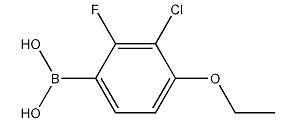 2-氟-3-氯-4-乙氧基苯硼酸-CAS:909122-50-5