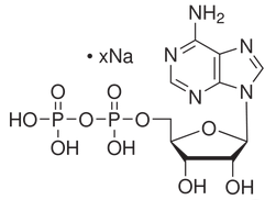 腺苷-5′-二磷酸钠盐-CAS:20398-34-9