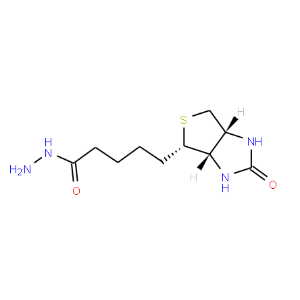 生物素酰肼-CAS:66640-86-6