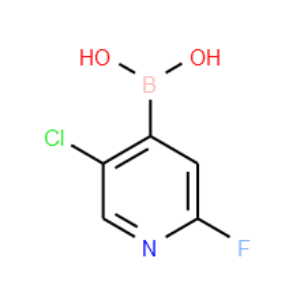 2-氟-5-氯吡啶-4-硼酸-CAS:1034659-38-5