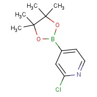 2-氯吡啶-4-硼酸频哪醇酯-CAS:458532-84-8