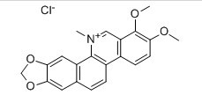 白屈菜赤碱-CAS:3895-92-9