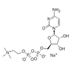 胞磷胆碱钠-CAS:33818-15-4