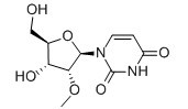 2'-甲氧基尿苷-CAS:2140-76-3