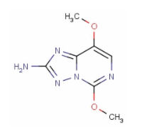 2-氨基-5,8-二甲氧基[1,2,4]三唑[1,5-c]嘧啶-CAS:219715-62-5