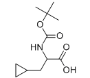 2-Boc-氨基-3-环丙基丙酸-CAS:888323-62-4