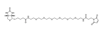 生物素-PEG6-马来酰亚胺-CAS:1808990-66-0