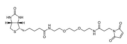 N-生物素基-N'-(3-马来酰亚胺基丙酰基)-3,6-二氧杂辛烷-1,8-二胺-CAS:305372-39-8