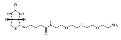 生物素-PEG3-胺-CAS:359860-27-8