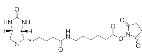 N-琥珀酰亚氨基6-生物素氨己酸-CAS:72040-63-2