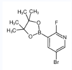 5-溴-2-氟吡啶-3-硼酸频哪醇酯-CAS:1073353-50-0