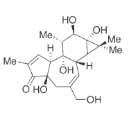 佛波-CAS:17673-25-5