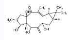 7-羟基千金子二萜醇-CAS:34208-98-5