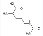 D-瓜氨酸-CAS:13594-51-9