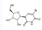 5-溴-1-((2R,3R,4S,5R)-3,4-二羟基-5-(羟甲基)四氢呋喃-2-基)嘧啶-2,4(1H,3H)-二酮-CAS:957-75-5