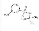 N-叔丁基-3-氨基苯磺酰胺-CAS:608523-94-0