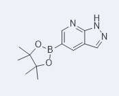 1H-吡唑并[3,4-b]吡啶-5-硼酸频那醇酯-CAS:1093819-50-1