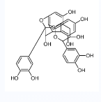 原花青素 A2-CAS:41743-41-3