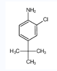 4-叔丁基-2-氯苯胺-CAS:42265-67-8