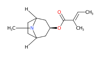 惕各酰托品因-CAS:495-83-0